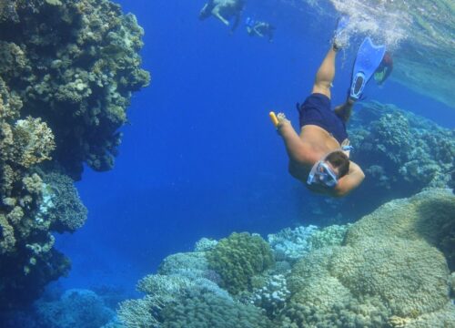 Coral Garden Snorkeling