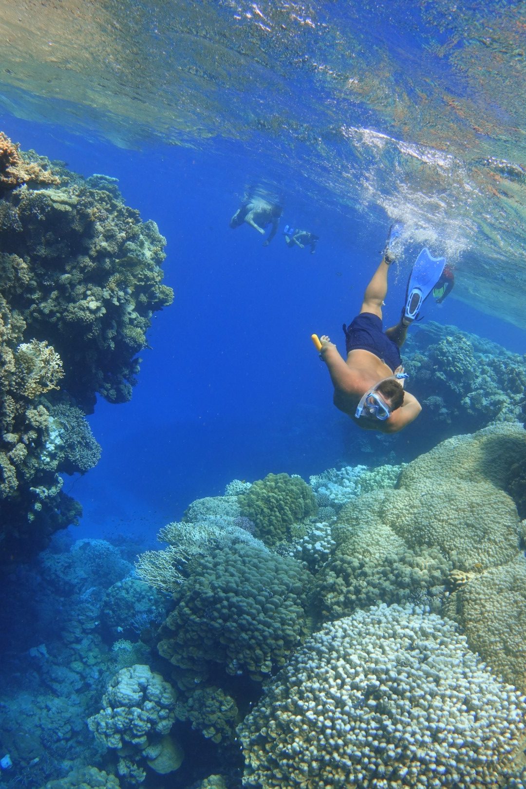 Coral Garden Snorkeling