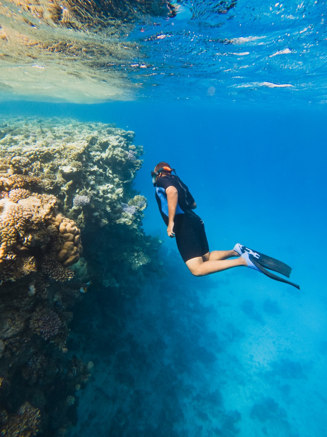 Marsa Mubarak – Schnorchelabenteuer im Paradies von Marsa Alam